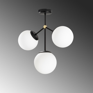 Negru/Alb, Damar - 6336