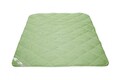 Set Bamboo Sense, 2 perne 50x70 cm si pilota matlasata 300g/mp, 200x220 cm