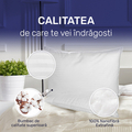 Set 2 perne Stripes 50x70 cm, Essience Premium Collection, husa 100% Bumbac; umplutura nanofibra extrafina