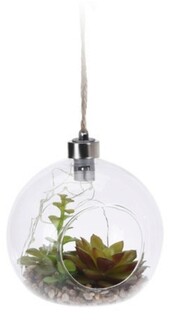 Ечеверия Перле