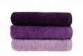 Set 3 prosoape de maini Beverly Hills Polo Club, 50x90 cm, 100% bumbac, Lilac/Purple/Dark Purple