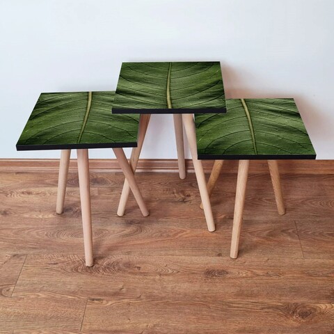 Set masute 3 piese, Hanah Home, 3Shp103, Verde