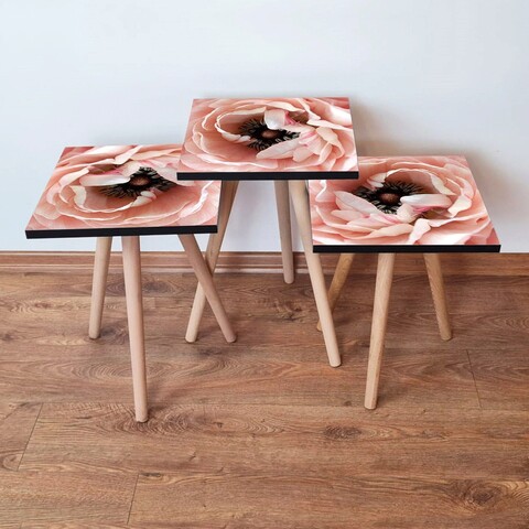 Set masute 3 piese, Leona, 3Shp251, MDF , Somon / Maro / Alb